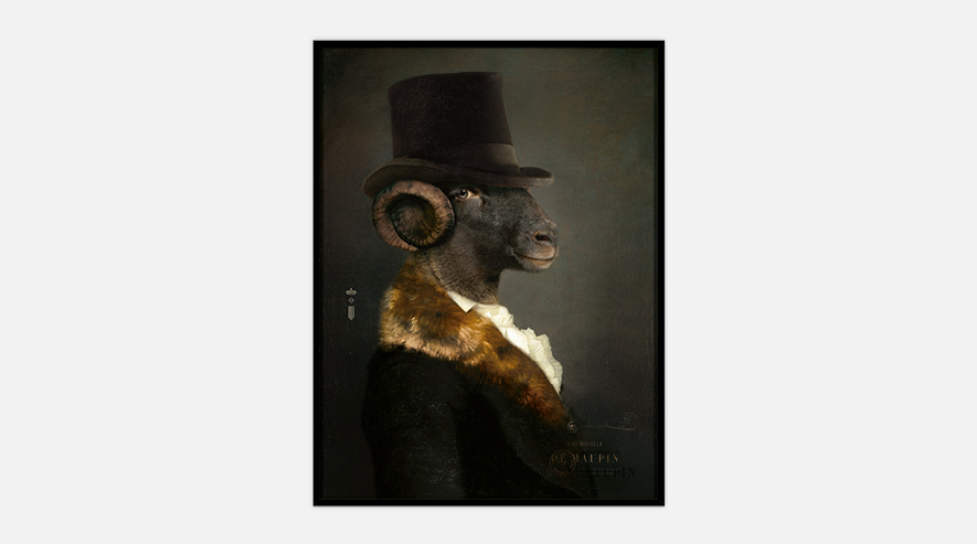 IbrideCollector portrait Maupin画